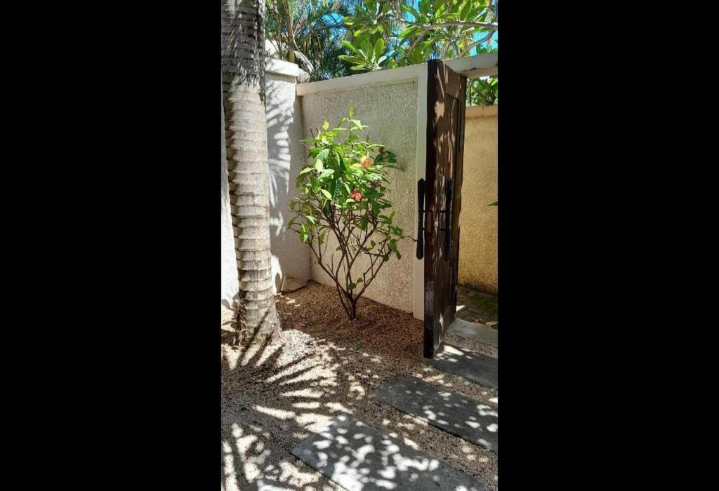 גראנדה באיה Oasis 1 Villa Tropicale מראה חיצוני תמונה