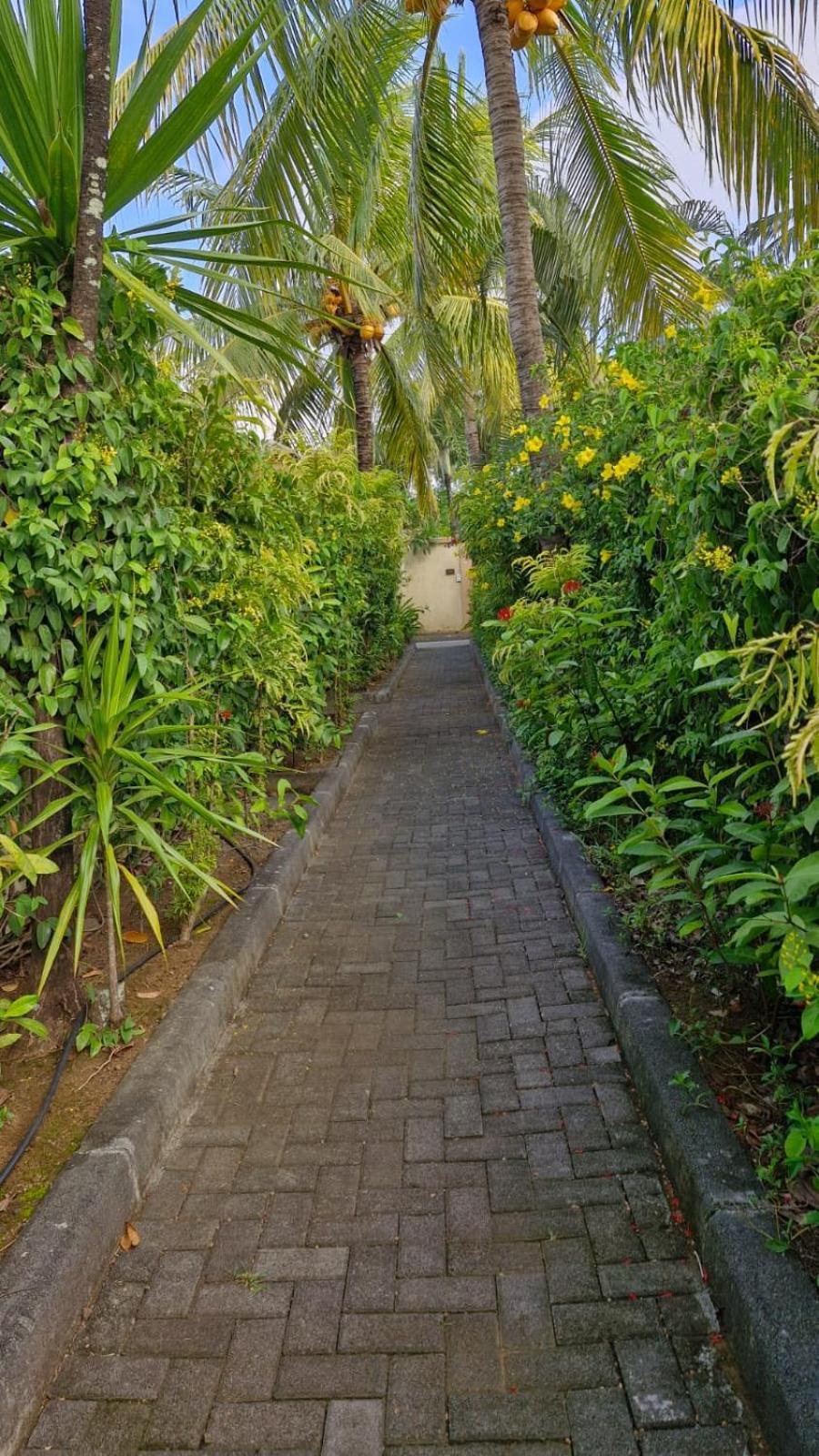 גראנדה באיה Oasis 1 Villa Tropicale מראה חיצוני תמונה
